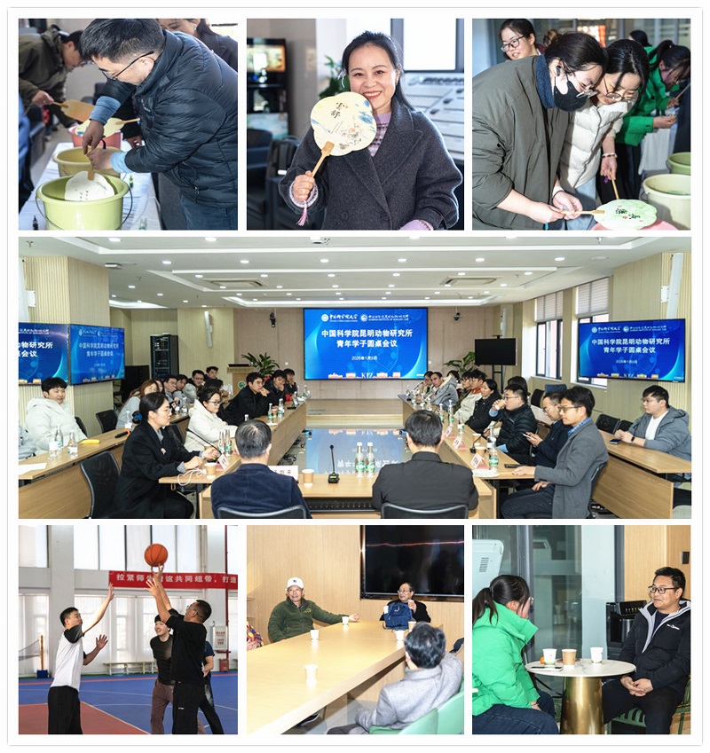 电子游戏app下载安装