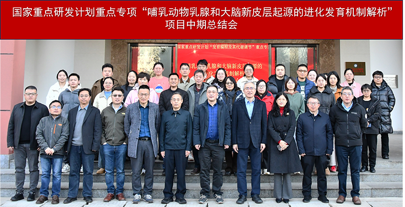 电子游戏app下载安装