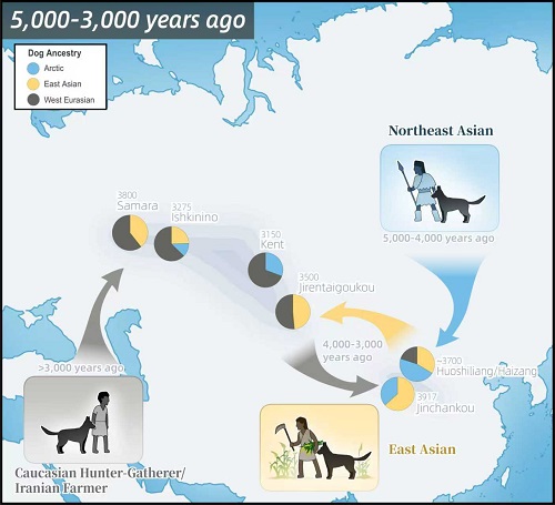 电子游戏app下载安装