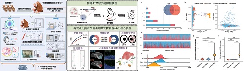 电子游戏app下载安装