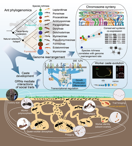 电子游戏app下载安装