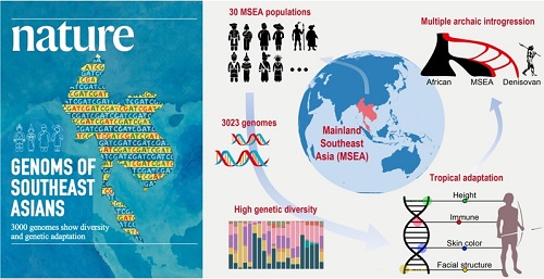 电子游戏app下载安装
