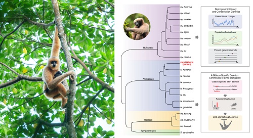 电子游戏app下载安装