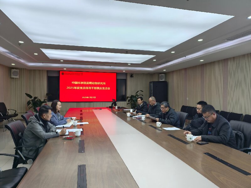 电子游戏app下载安装