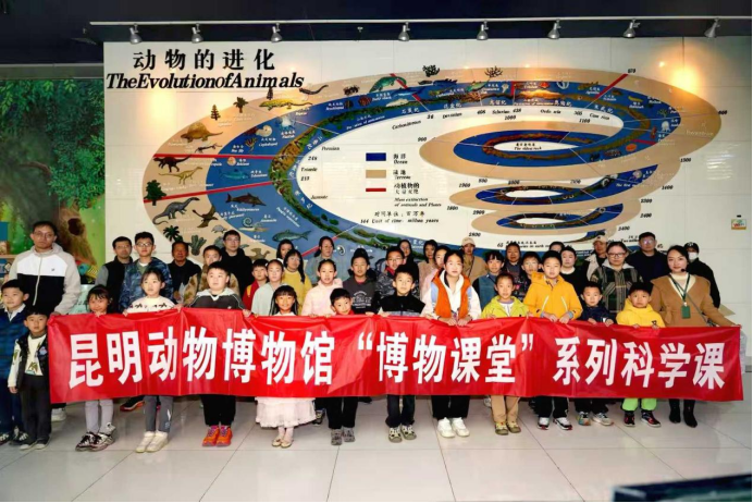 电子游戏app下载安装