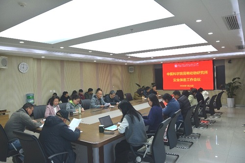 电子游戏app下载安装