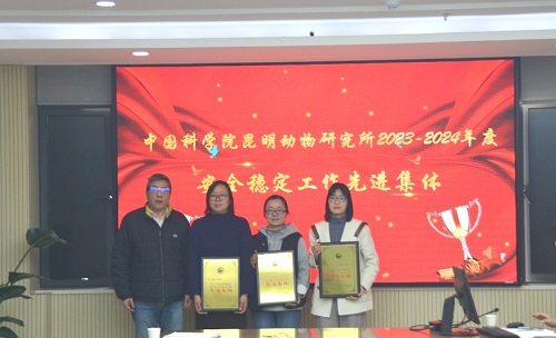 电子游戏app下载安装