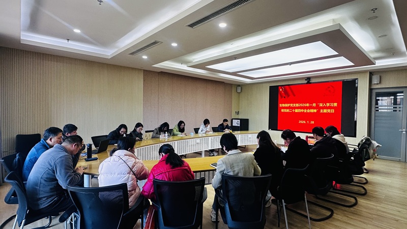 电子游戏app下载安装