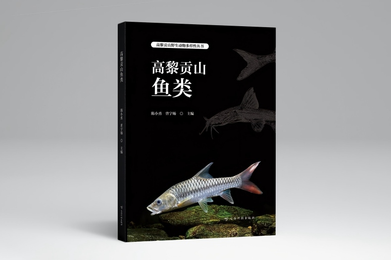 电子游戏app下载安装