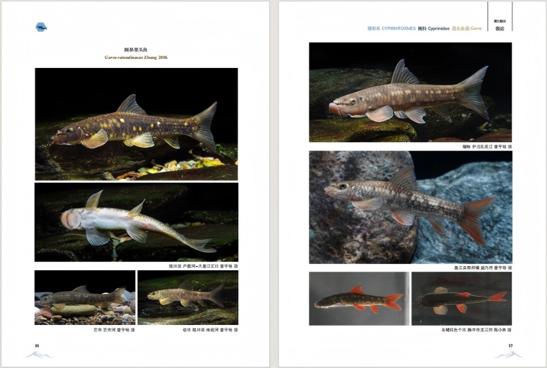 电子游戏app下载安装