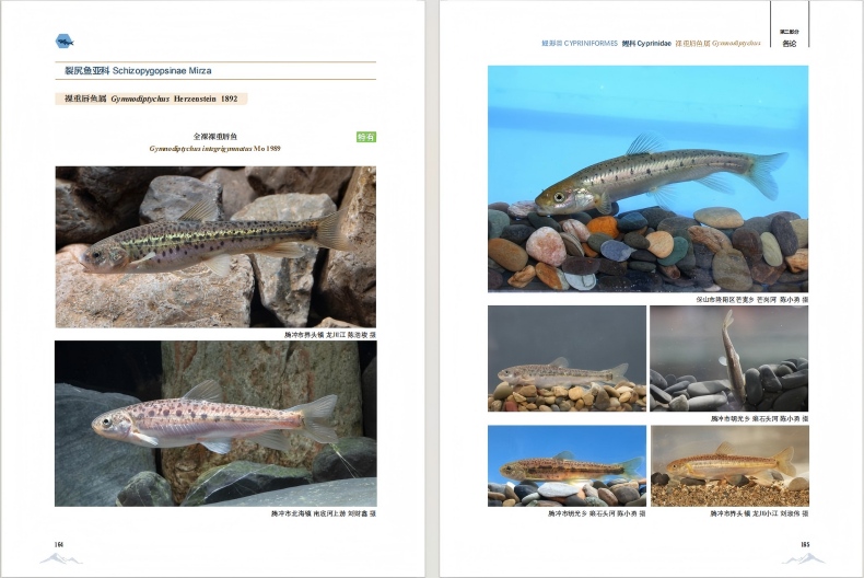 电子游戏app下载安装