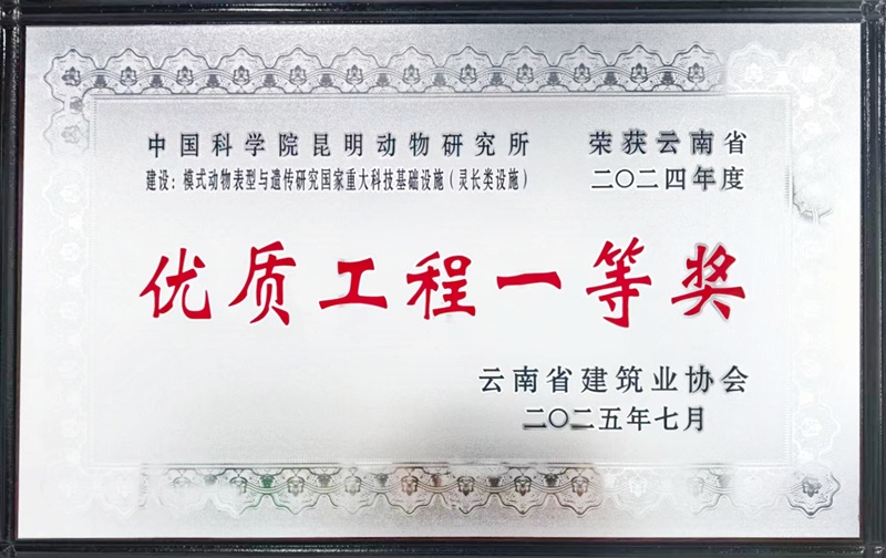 电子游戏app下载安装