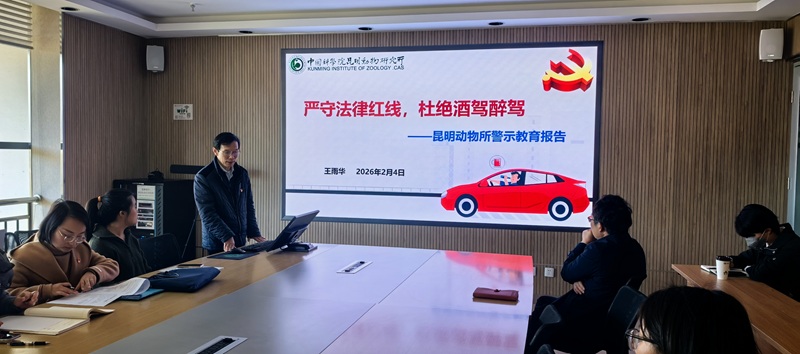 电子游戏app下载安装