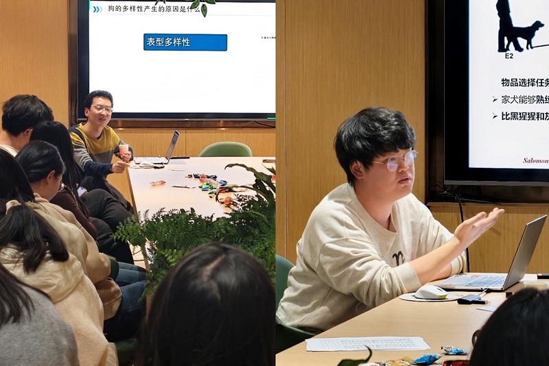 电子游戏app下载安装