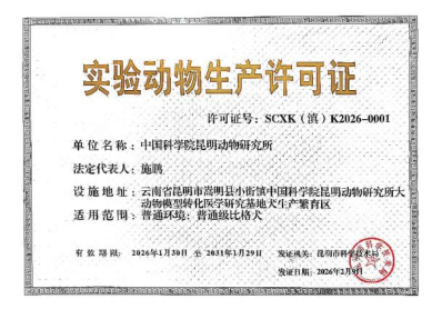 电子游戏app下载安装