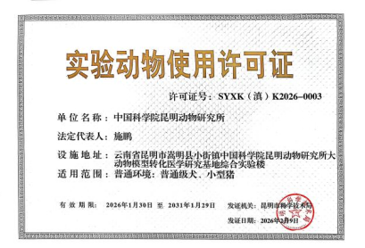 电子游戏app下载安装