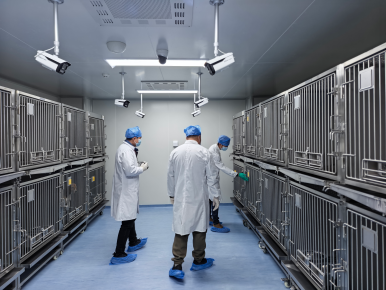 电子游戏app下载安装