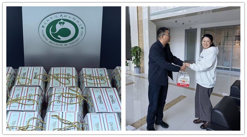 电子游戏app下载安装