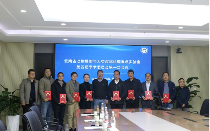 电子游戏app下载安装