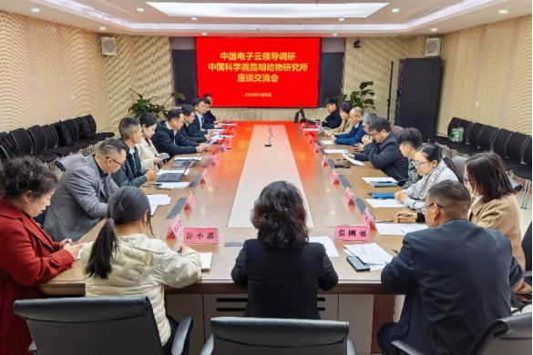 电子游戏app下载安装