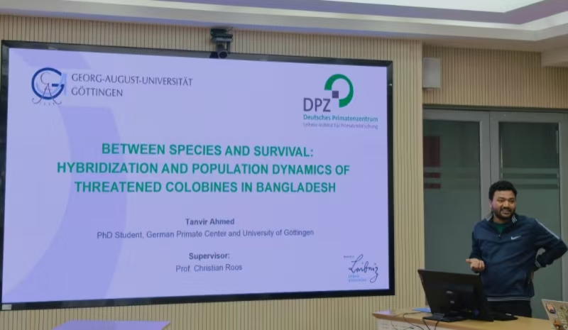 电子游戏app下载安装