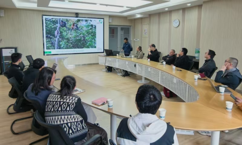 电子游戏app下载安装