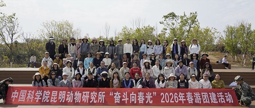 电子游戏app下载安装