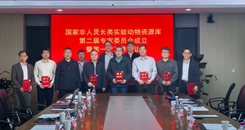 电子游戏app下载安装