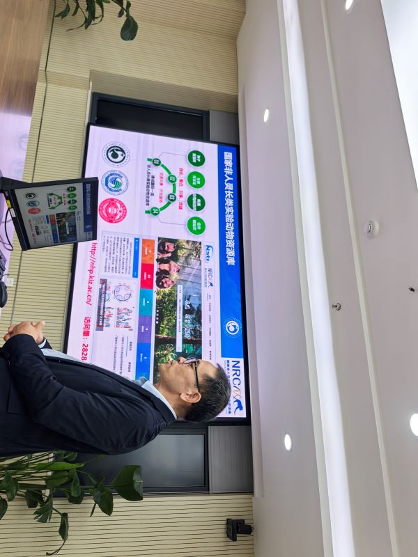 电子游戏app下载安装