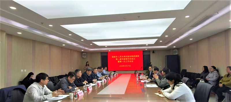 电子游戏app下载安装