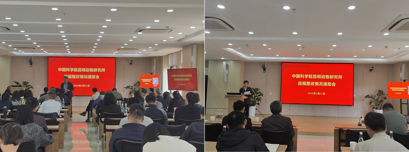 电子游戏app下载安装