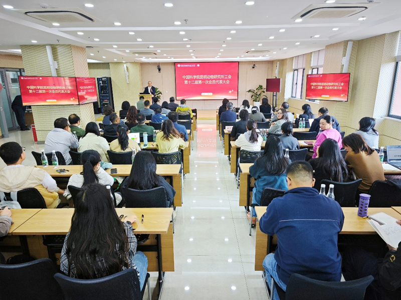 电子游戏app下载安装