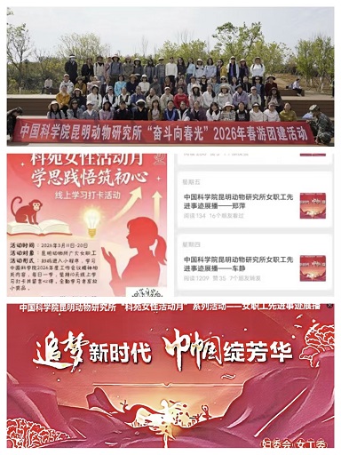 电子游戏app下载安装