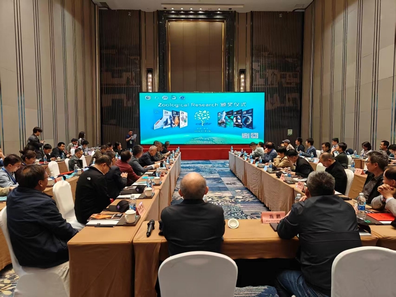 电子游戏app下载安装