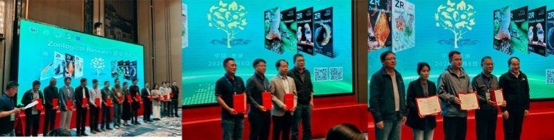 电子游戏app下载安装