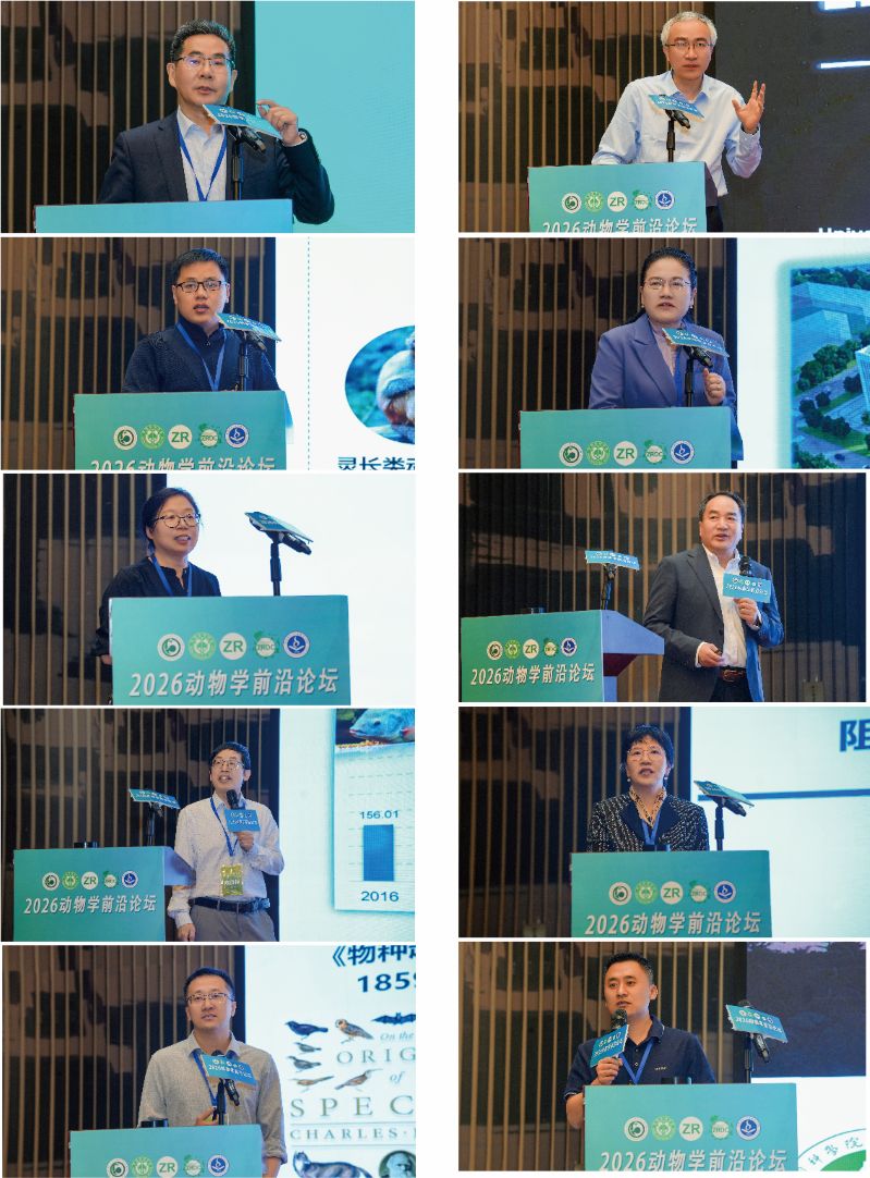 电子游戏app下载安装