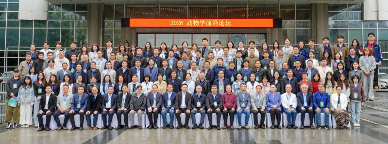 电子游戏app下载安装