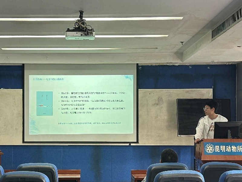 电子游戏app下载安装