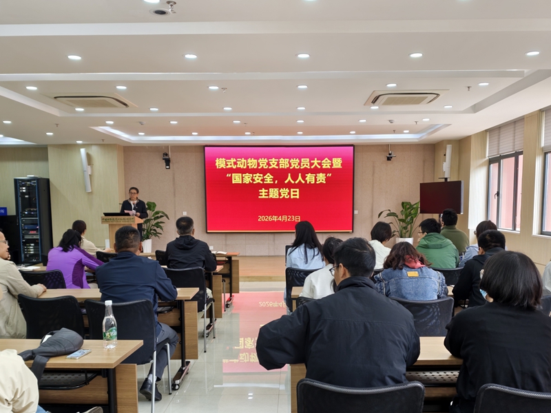 电子游戏app下载安装