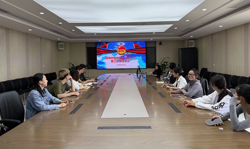 电子游戏app下载安装