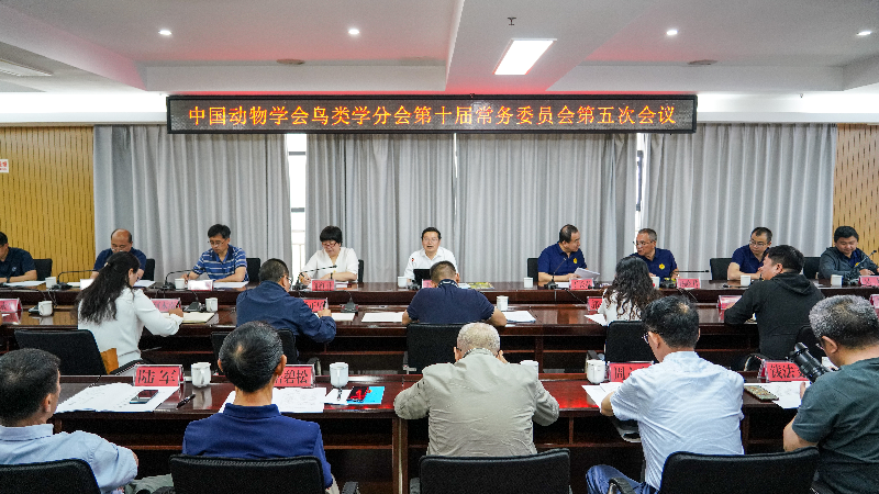 电子游戏app下载安装