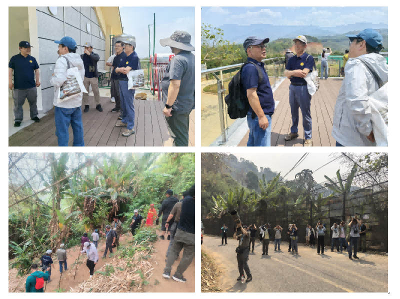 电子游戏app下载安装