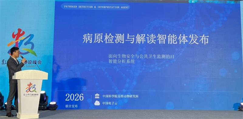 电子游戏app下载安装