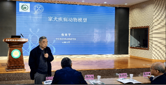 电子游戏app下载安装