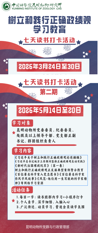 电子游戏app下载安装