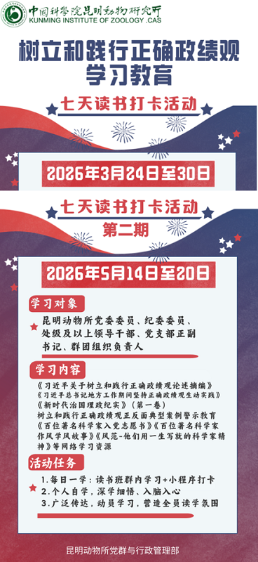 电子游戏app下载安装