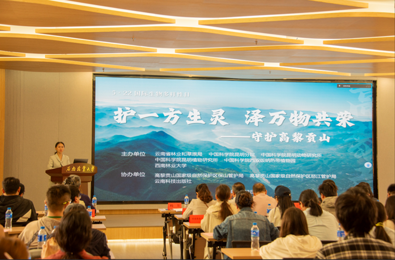 电子游戏app下载安装