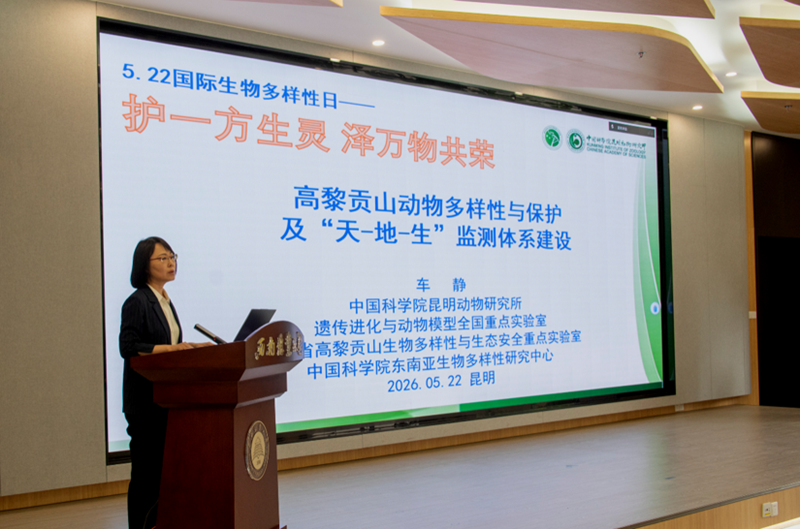 电子游戏app下载安装