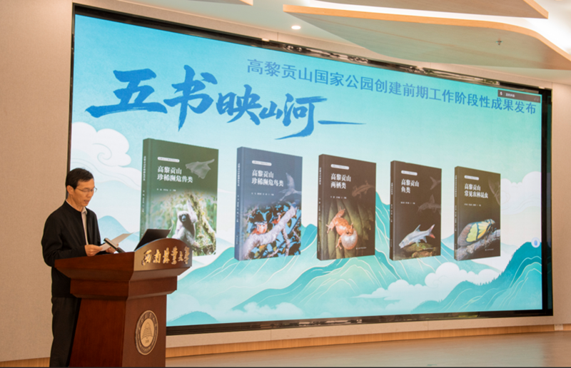 电子游戏app下载安装