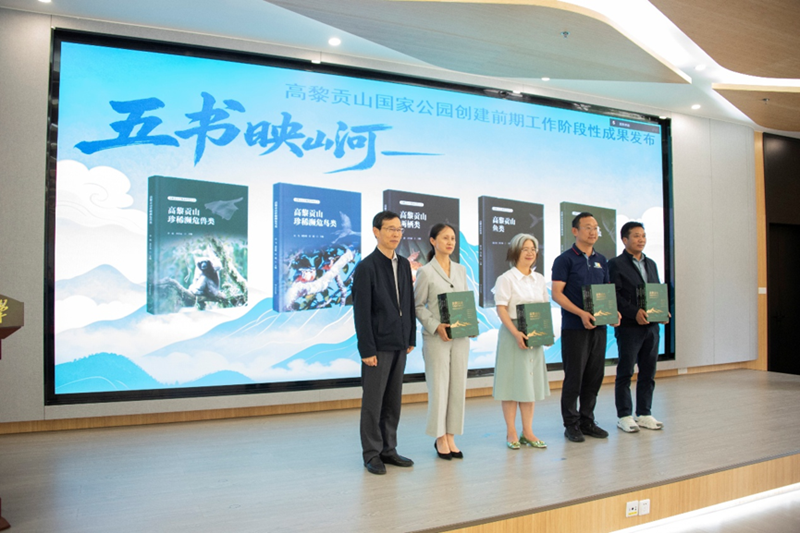 电子游戏app下载安装